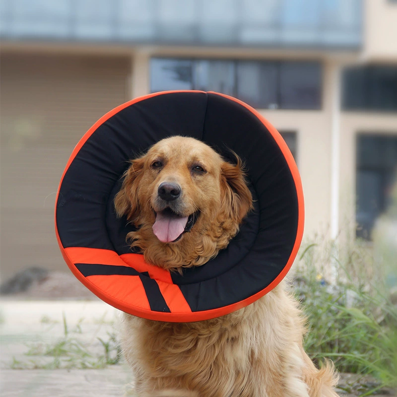 Ji Zai Товары для домашних животных Большая собака Кольцо с защитой от царапин Future Sense Противозачаточный защитный чехол Защитное кольцо Elizabeth