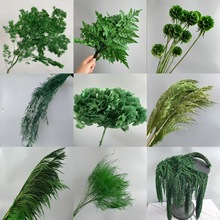 ɭϵ�Gɫ���������򻨵����滨��Y��c�bGֲ��������diy����