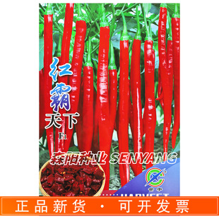 ����t�����������N�������쳬�߮a�����L�����t��303���r������