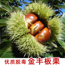 ��t�۰������ϱ���ͥԺ���ԷNֲ�ش������޽ӹ���������Y��