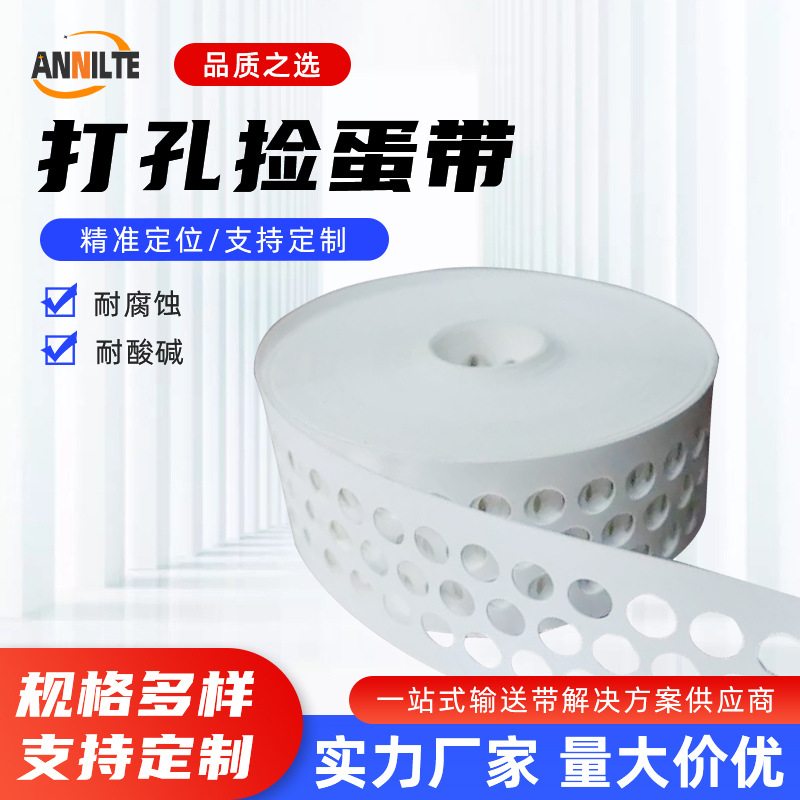 济南安耐pp打孔捡蛋带集蛋带 鸡蛋圆孔输送带 耐温耐腐蚀收蛋带