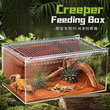 ������B��͸��������һ�w��M�b�ľ�з��B��ϐ�������x���B��