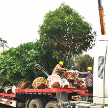 �N�۹𻨘������ ռ�ع��� �𻨘�r�� Ҏ���Rȫ ���{�\ȫ��