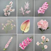 ��ɫϵ��c�ٻ�����õ���Y�þƵ��b�����ˇ·�����Ų廨