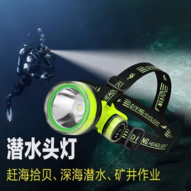 太阳能灯;手电筒;野营/露营灯