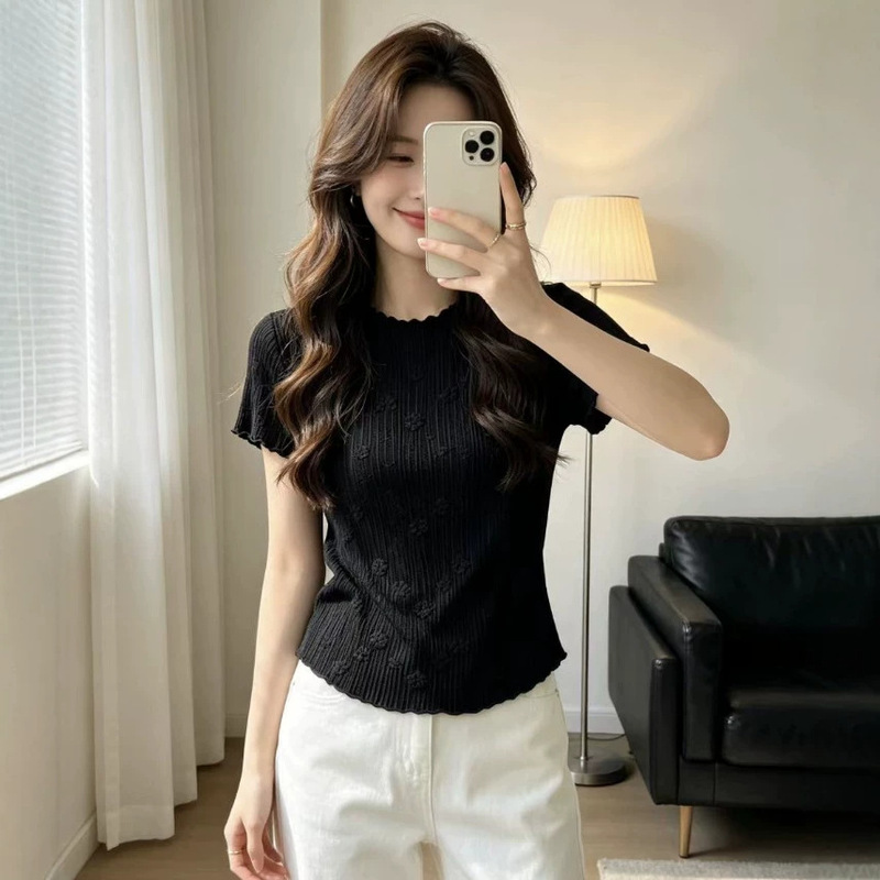 Summer Thin High-End Mesh T-Shirt Paired with a Skirt, Short-Sleeved Base Layer, Stylish and Elegant Top for Women