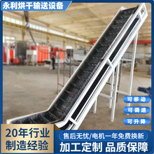 加工链板自动投料机 小型板式紧固件提升机 金属件给料机厂家定制