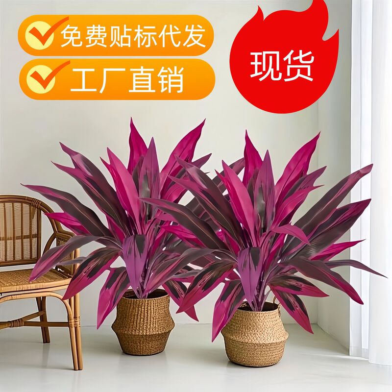 American-Style Cross-Border Amazon Product: Ficus Lyrata, Brazilian Wood Leaves, Bird's Nest Fern, Artificial Green Leaves for Landscaping Decoration American-Style Cross-Border Amazon Product: Ficus Lyrata, Brazilian Wood Leaves, Bird's Nest Fern, Artificial Green Leaves for Landscaping Decoration