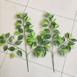 ��������~�٘����������~���~��֦�~��@�����b��~�ӹ���