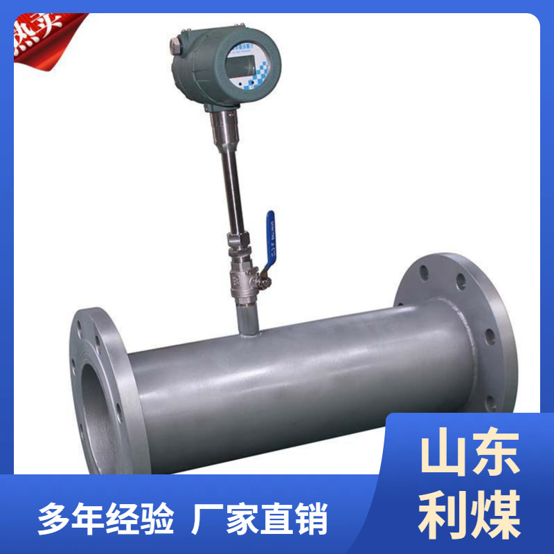 DMF-1系列气体质量流量计 一体管段式热式气体质量流量计