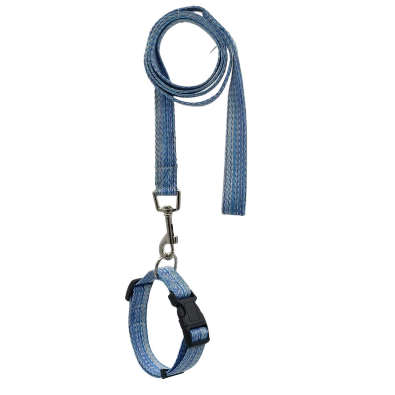 Perro gato Correa perro cadena perro caminar gato Correa pequeño y mediano tamaño cuerda cachorro gato cuerda Teddy suministros para mascotas