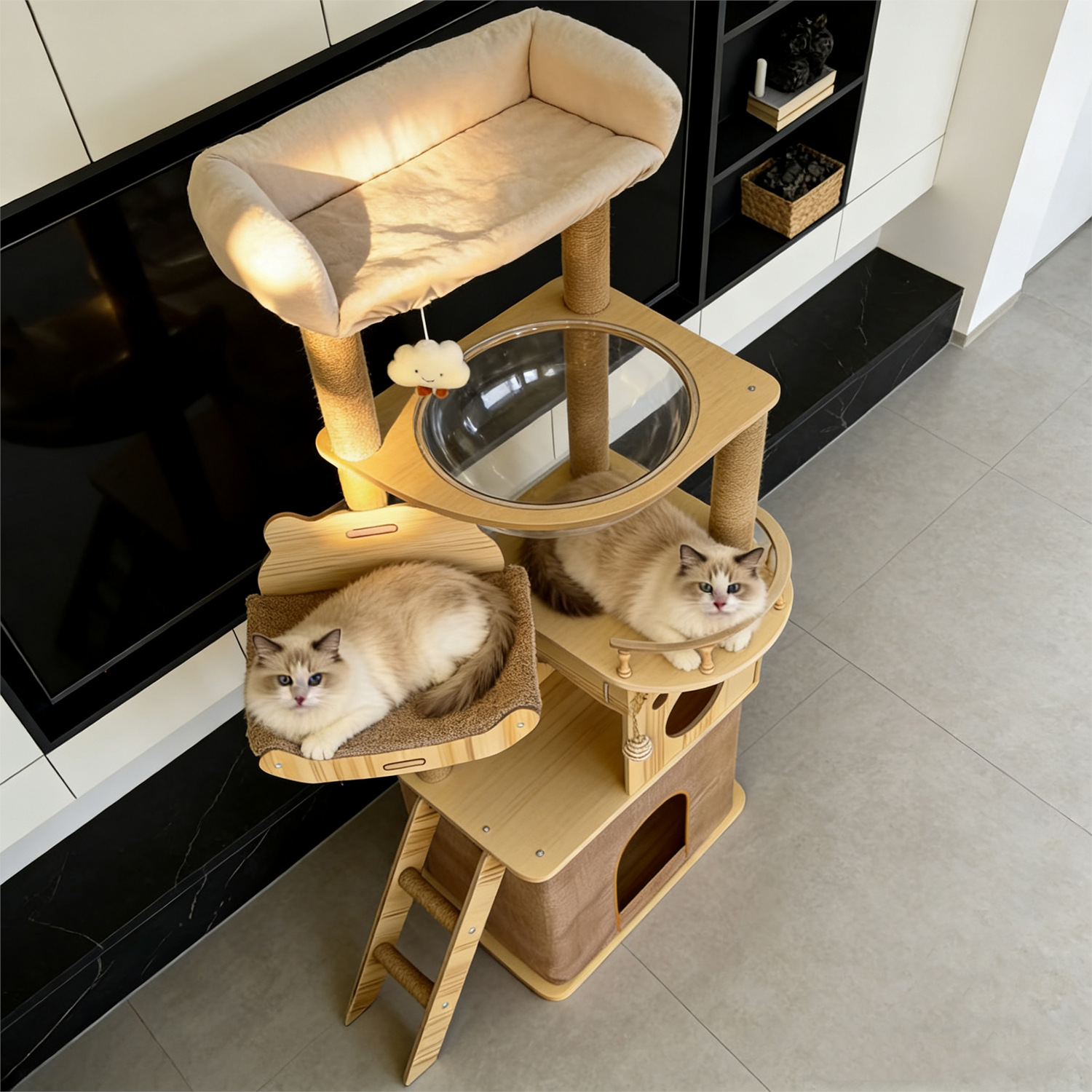 Кошачий комплекс Y39 новинка