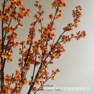 �����Ʒ�|������ �Ӱ��g��� ��ˇ�OӋ �������OӋ �⾳ �̄ջ�