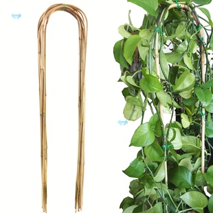 10 Pcs Natural U Hoops Bamboo Garden Trellis 48Inch Bamboo