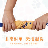 (Трансграничная торговля), интерактивная игрушка, домашний питомец, избавление от скуки