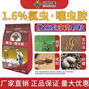 ���S��������ʩ�w��1.6%���x���x�������²˼t�����º��x���x��