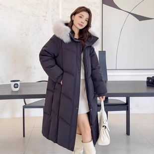 �Z�q��q��Ů2025���¿����ë�I�̺����@���L���^ϥ�Ӻ�ů����