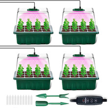 �羳�¿�Ӻ���w��������������С��ֲ��͸���y����Ѩ�P��бP