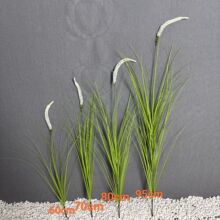 ���滨��β��޹�²ݷ���Gֲ�@�ֻ�Y�쾰�zӰ�����JȔ���[���s��