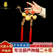 �������J�[��ȫ�t�Y������X��������^��߅�Y�t�S��ɫ�ҾӔ[��