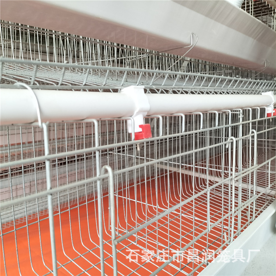 便捷可摘不锈钢球鸡乳头饮水器鸡用自动饮水器鸡吊杯鸡饮水杯