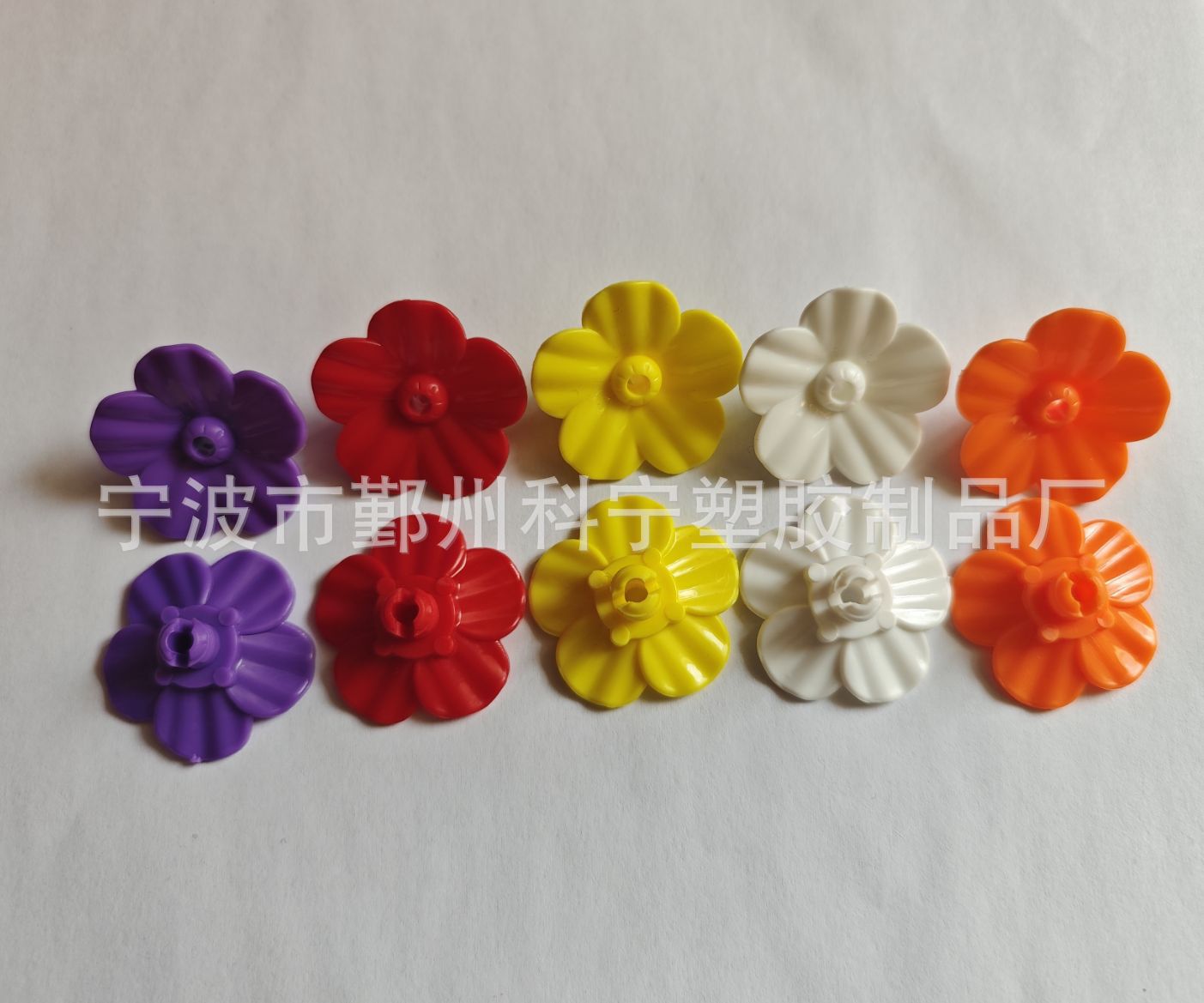 b1a0297b5010686908b9dff6af1e6a