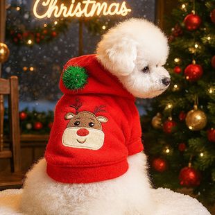 PETCIRCLE����Ȧ�����·�����؈����b������}�Q���·�����