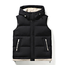 2025���¿��ﶬ����ʿ��ɫ�Bñ��q���R�����e�r�Ў����п��ޱ���