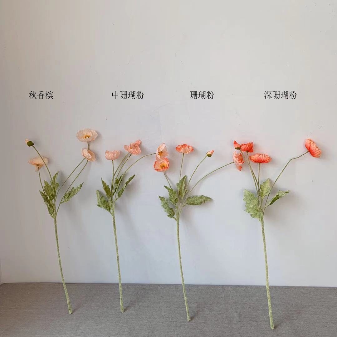 2493449d3c5c7e4a7abfc099fac13c