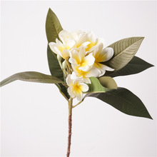 ��Ʒ�|�ָ��u�������滨�@���쾰�Gֲ�ٻ��Ҿӿ͏dֲ����bl�