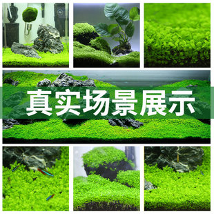 ˮ���~�׌������ذ�����N�Ӳ����~���쾰�����B�~����ˮ�|ţë��