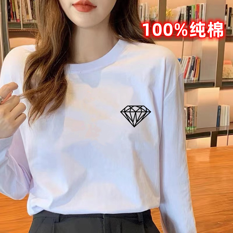 긴팔 코사지 벽돌