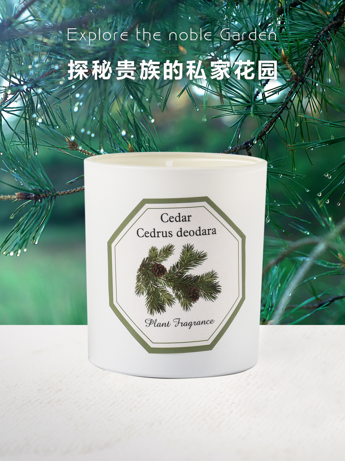 植物学家蜡烛_06