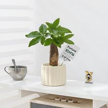 �lؔ��С�����k���҃�����Gֲ�����Ժ��ļ��������˾Gֲ���B�׻�