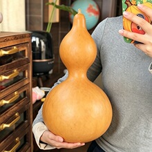 天然葫芦摆件家居饰品大葫芦挂件办公室悬挂趣味文玩葫芦DIY烙画