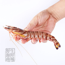 Ұ���߹��r��Ź��r���r�|ɽ�uԴ�^�ك����r���r�ش��������