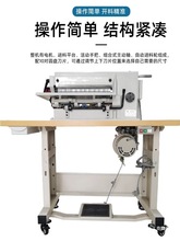 Ƥ֗lCevaЗlC_lCzƤdA_ϷȫC