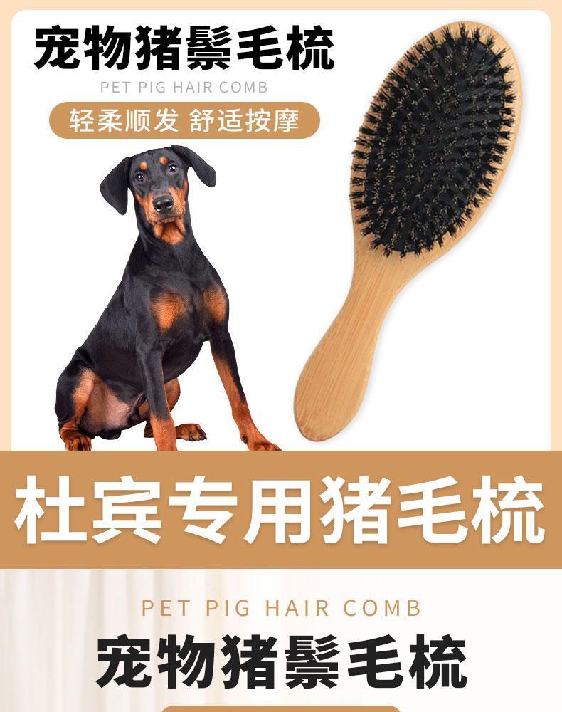 a2178570-1b67-444c-af6c-9870b5f4dbdb.jpe