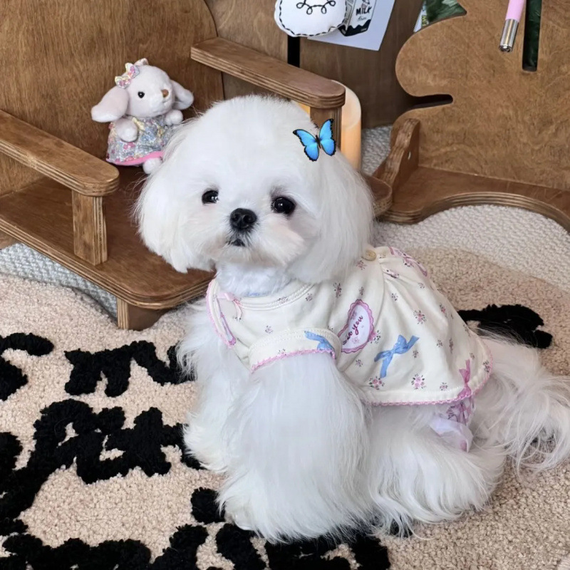 Perro mascota dulce chaleco floral falda pequeña manga volante ropa para el hogar de verano perro pequeño para evitar la pérdida de Maoxi Shi Yorkshire