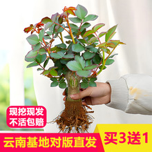 ��ϻ���ֱ�lõ���Ϙ������¼������ش󻨻��ļ��_���ϸ������҃�