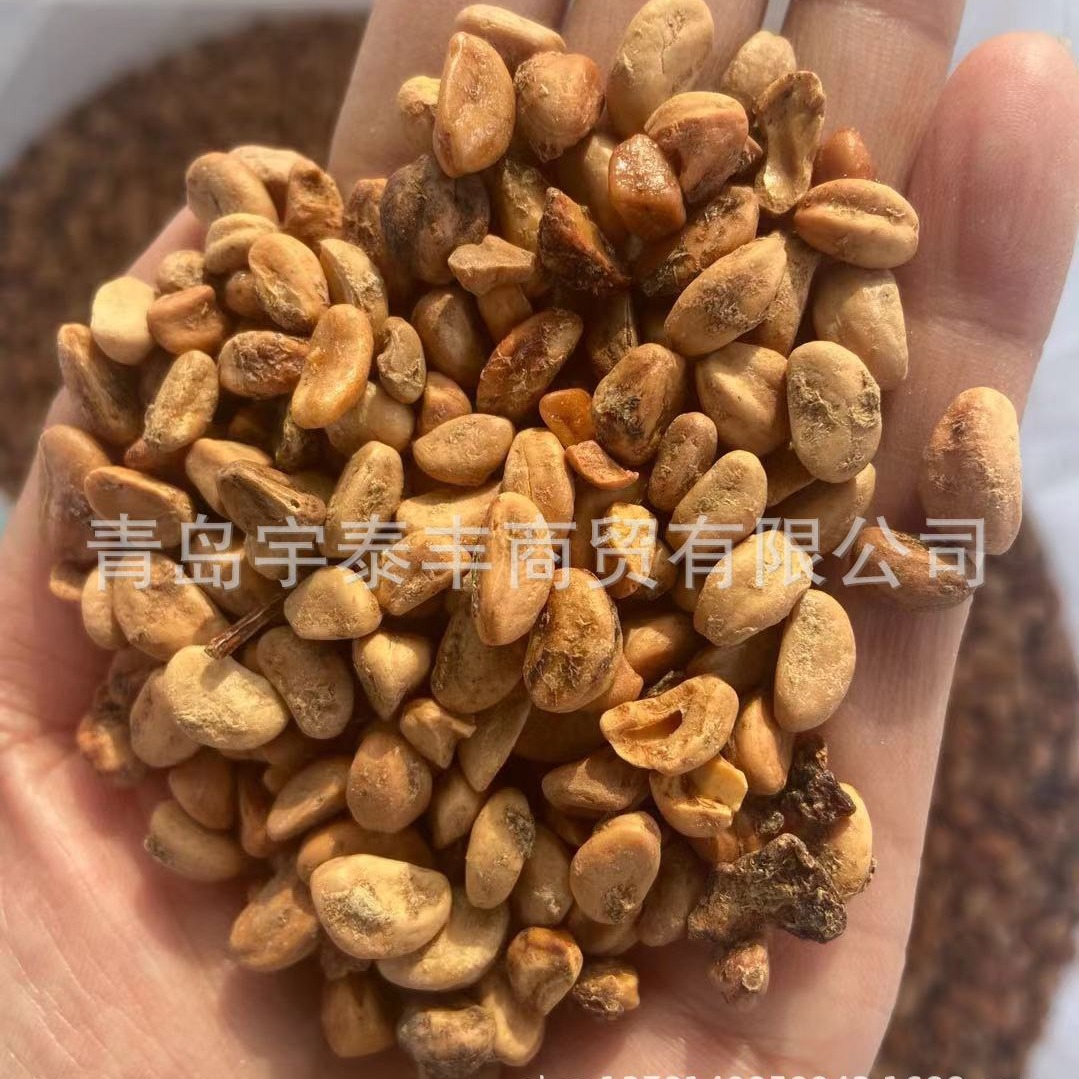 山楂核山楂子山楂胡高热量燃烧颗粒料木炭