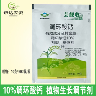 ܿ�n��10%�{�h���} �����{�����L ֲ�����L�{������Ʒ���l10��