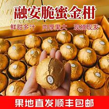 �V���ڰ����۽�̽�ۮ������rˮ���Y���b���������������l