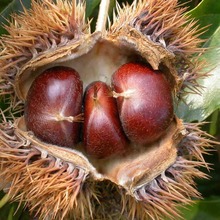 �ṩ���������������r�����gӭ��ԃ �����xُ