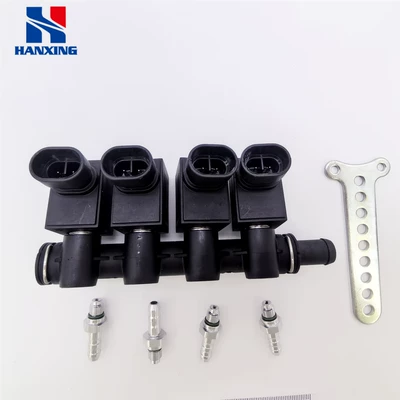 Gas Auto Parts Lpg/Cng Car Oil to Gas Lovato Spray Rail (Other starting systems) - lovato-spray-rail