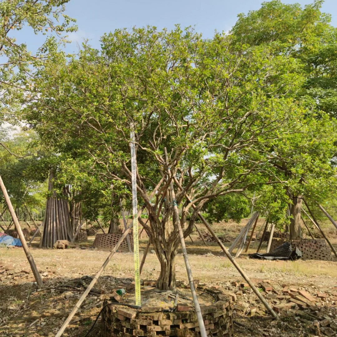 2211 база оптовая поставка