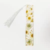 3 types of white daisies