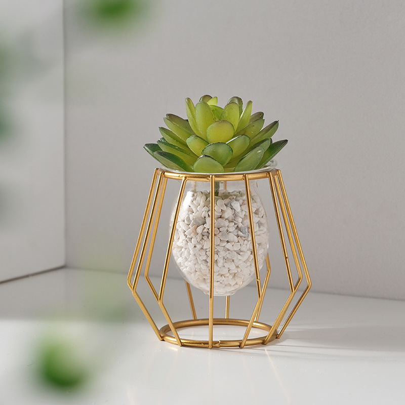 Light Luxury Home Creative Hydroponic Vase Ornaments Office Desktop Pothos Hydroponic Plant Container Table Decorations