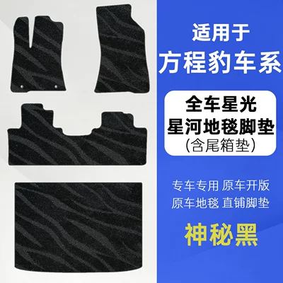 Modelə uyğun ayaqaltı — 5, Leopard 8, Titanium 3, Titanium - titanium-3-color-note-galaxy-carpet-full-set-of-car-floor-mats-trunk-mat