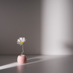 Longli porcelain classic ceramic aromatherapy bottle creative home mini ceramic vase ornament decoration hydroponic small flower pot apple